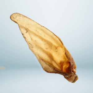 Runderoor met Pit XL