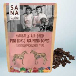 Sana Mini Training Paard