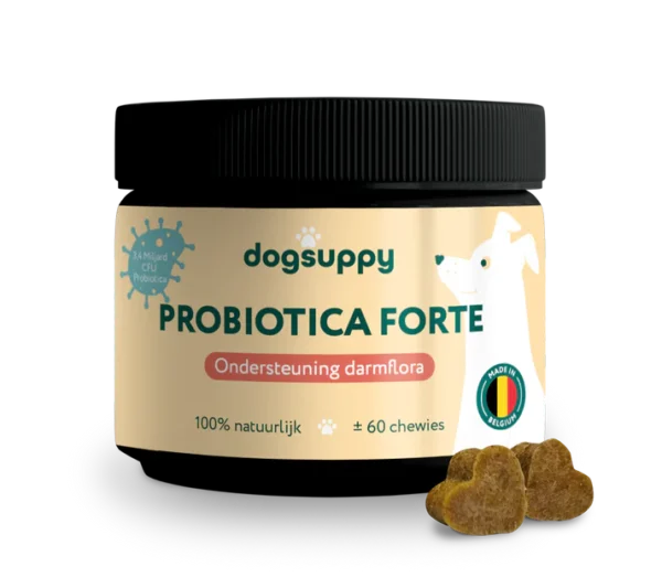 Dogsuppy Probiotica Forte Ondersteuning Darmflora Dogsuppy Probiotica Forte Ondersteuning Darmflora