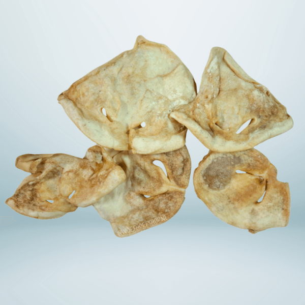 Lamsneuzen vijf stuks