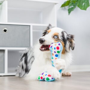 Lulubelles - It’s My Barkday Bone
