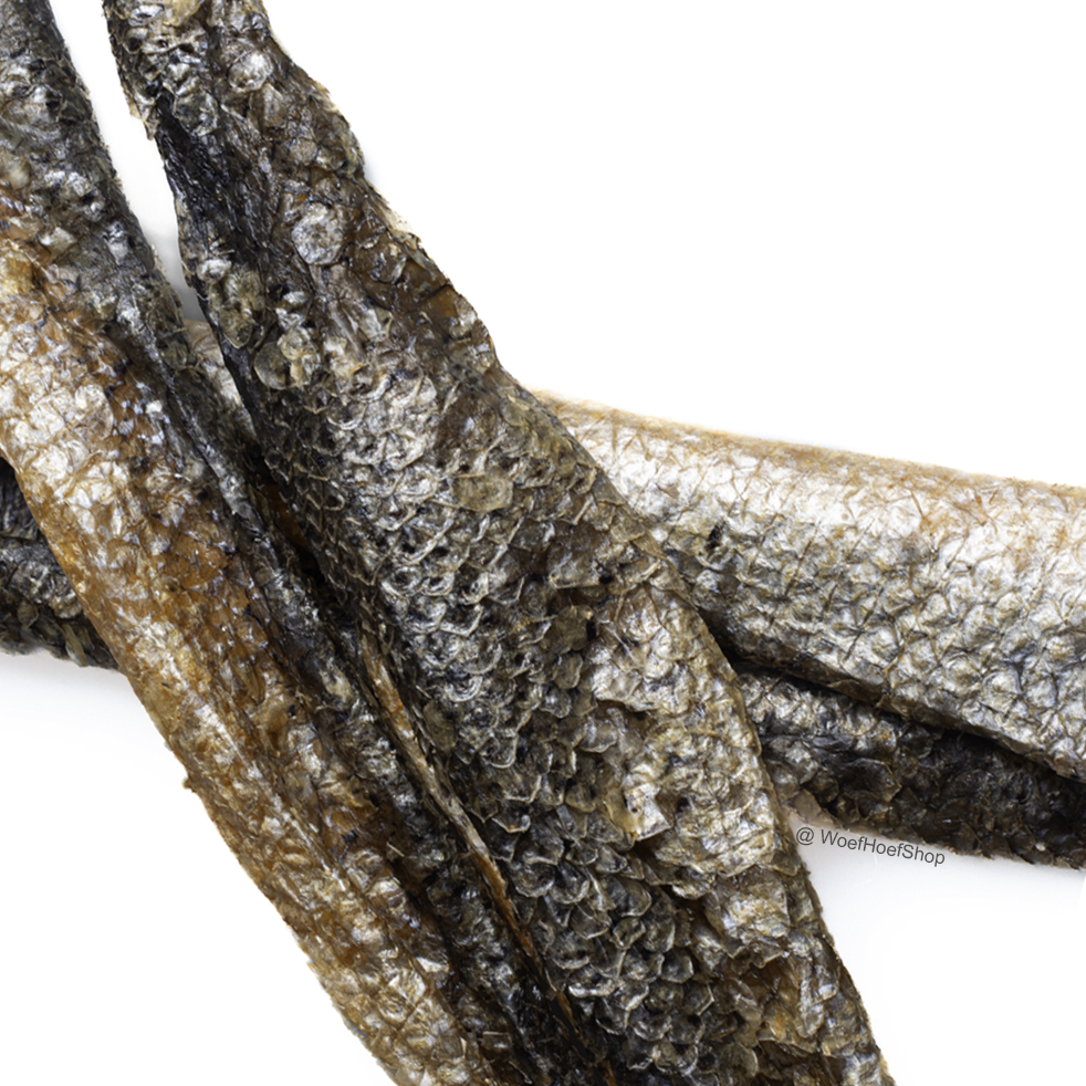 Zalmhuid Zonder Vet - Per Stuk