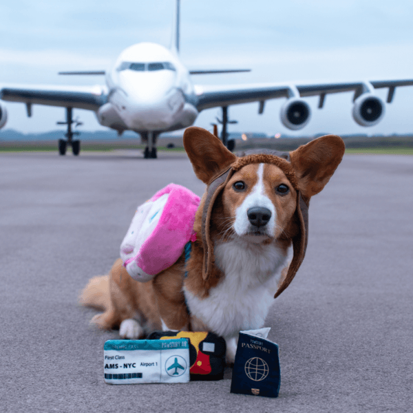 Pawstory - Snuffles Backpack 3-in-1