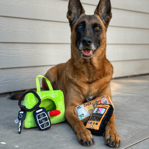 PawStory - Snuffles Barking Bag