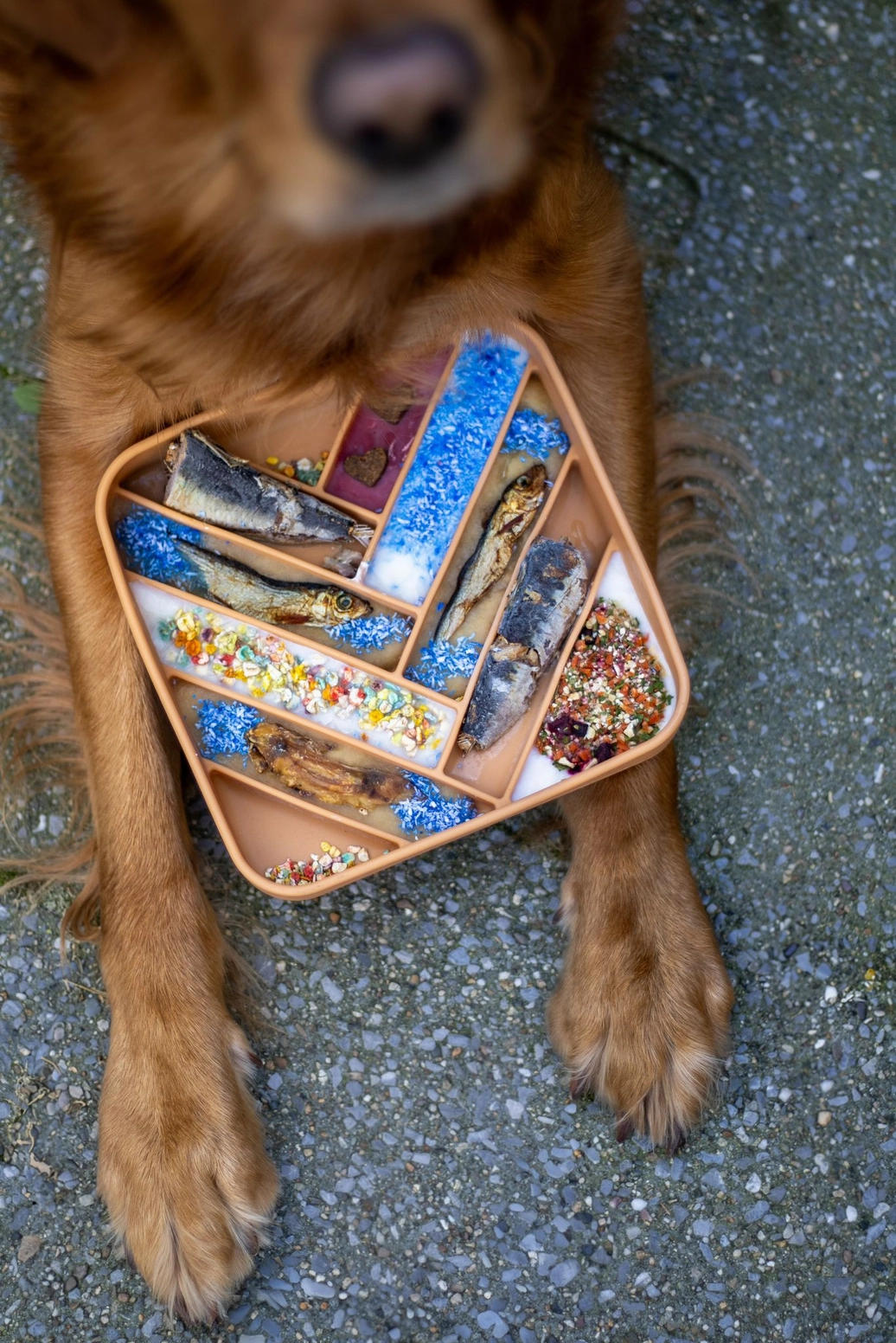 cooka mermaid 1 Cookas Cookies - Mermaid Dust - Maaltijdtopper