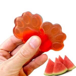 Doggy Jelly Watermeloen