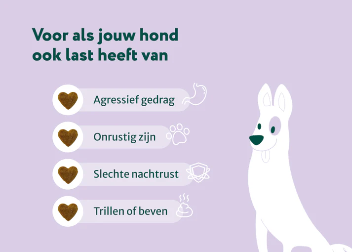 Dogsuppy - Anti-Stress & Angst - 60 snoepjes