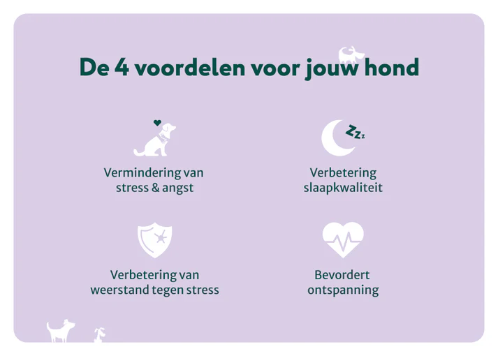 Dogsuppy - Anti-Stress & Angst - 60 snoepjes