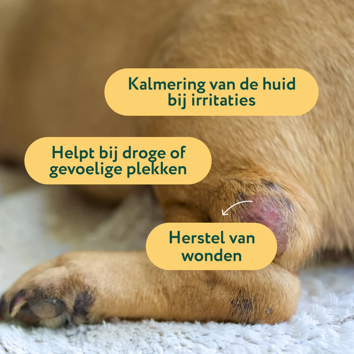 dogsuppy honing Dogsuppy - Honingzalf - 90 ml