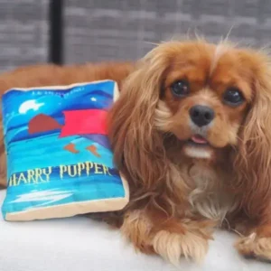 Pawstory Harry Pupper
