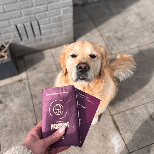 Pawstory - Pawsport Adventure