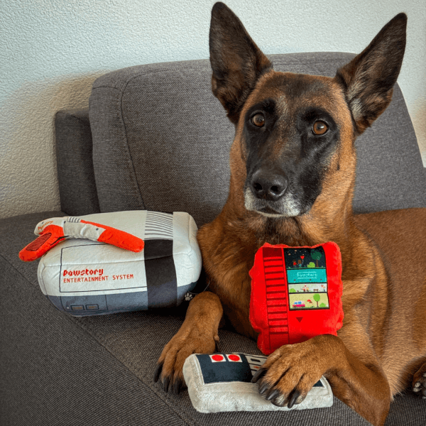 Pawstory - Snuffles Retro Games 3-in-1