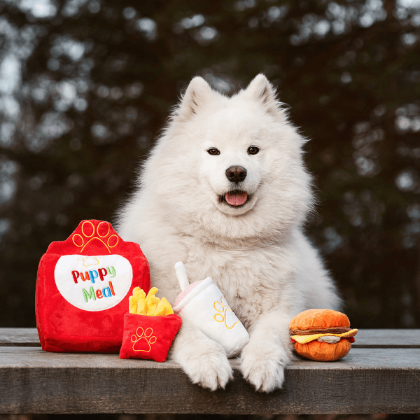 Pawstory - Puppy Meal