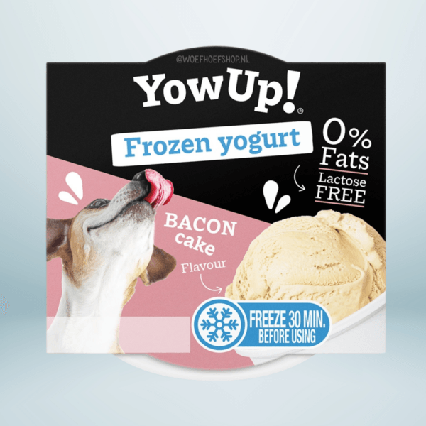 YowUp Frozen Yoghurt Bacon