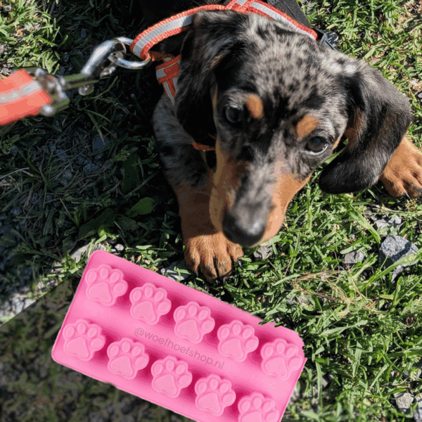 Siliconen Ijsvorm voor Honden