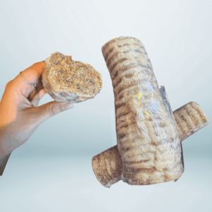 Petsnack Gevulde Buffeluchtpijp