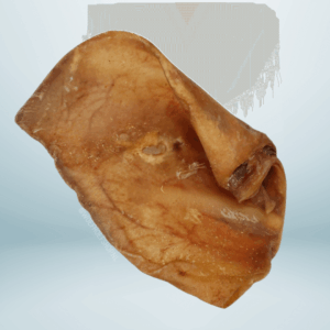 Zeugenoor XL