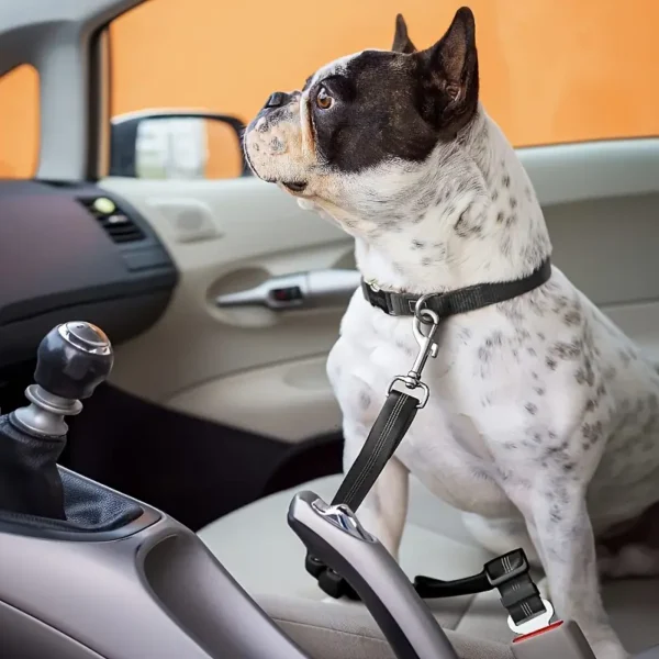 gordelriem 1 Autogordel voor Honden - Per Stuk