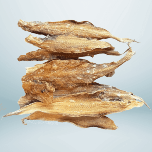 Petsnack Tongfilet 100 gram