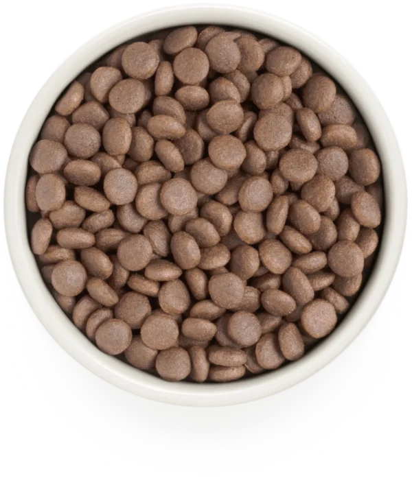 Grandorf - Glutenvrij Witvis - Adult Medium & Maxi