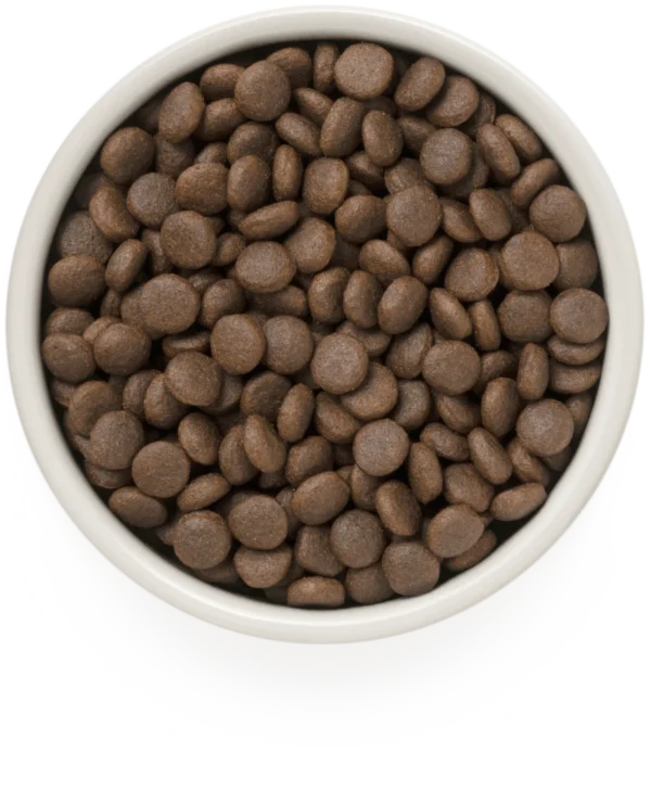 Grandorf - Glutenvrij 4 Vlees - Adult Medium & Maxi