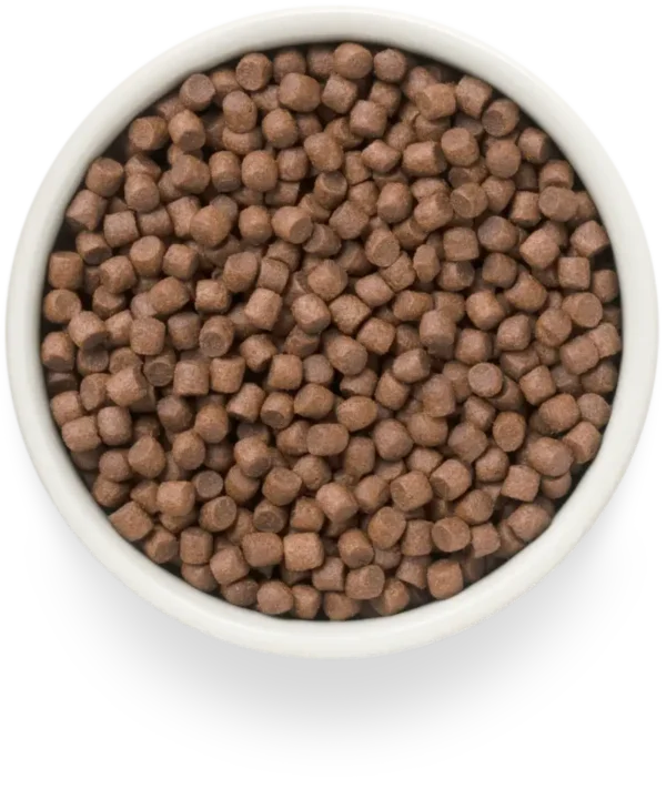 Grandorf | Graanvrij Verse Eend | Adult Mini