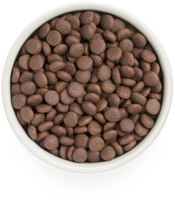 Grandorf - Glutenvrij Konijn & Kalkoen - Adult Medium & Maxi