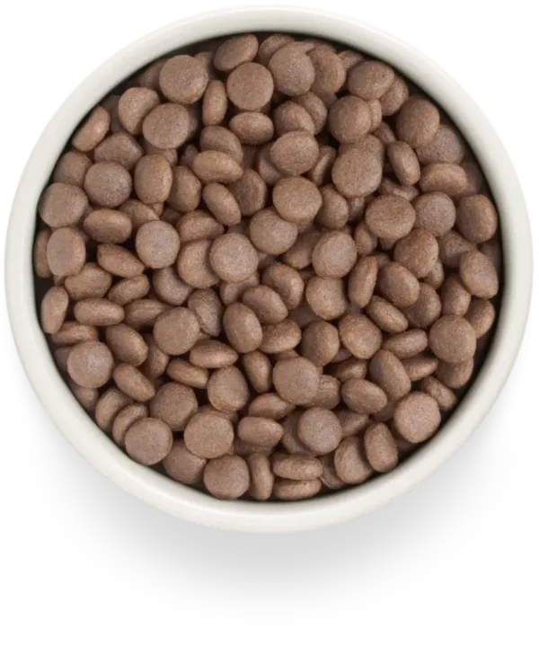 Grandorf | Graanvrij Verse Kalkoen | Adult Medium & Maxi