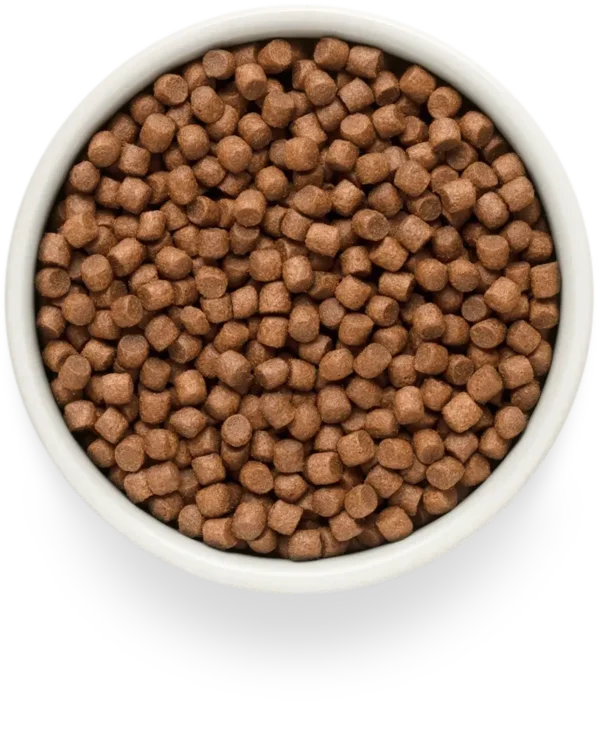 Grandorf | Graanvrij Verse Zalm | Adult Mini