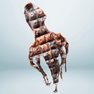 Sn'urk Inktvis Klein