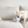 Lambwolf Snuffelbal