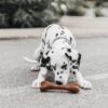 Retorn Bone