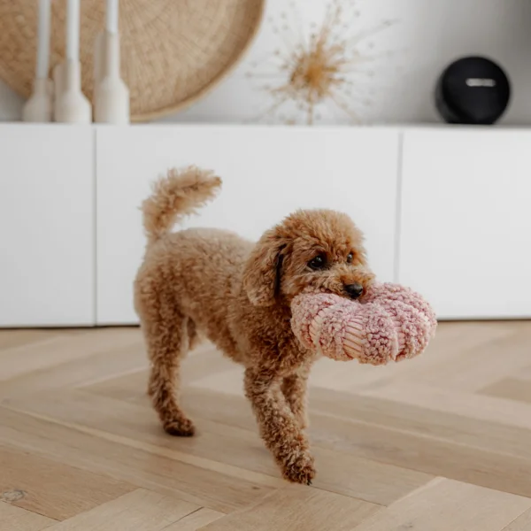 District 70 - Daisy Donut - Varianten