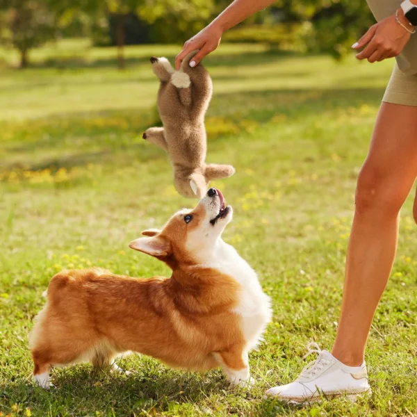 Nocciola Konijn zonder Vulling