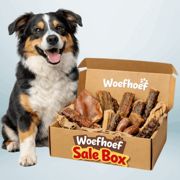 Woefhoef Sale Box Honden