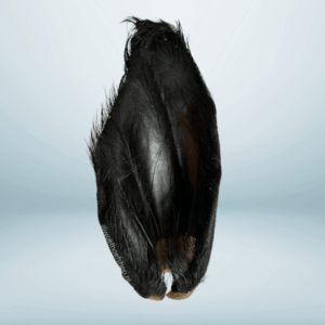 Buffeloor met Haar Hondensnack