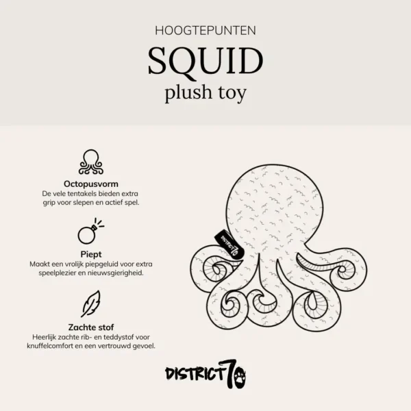 District 70 Squid